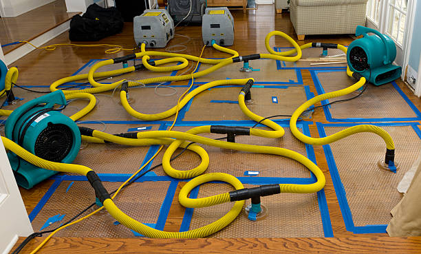 Professional Structural Drying And Dehumidification technician working in Montrose, NY
